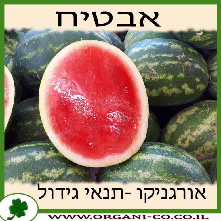 אבטיח אבטיח גידול צמח